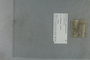 UC 55074 label