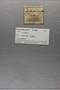UC 56015 label