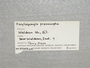 UC 57356b label