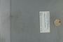 UC 59954 label