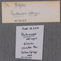 PE 78255