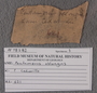 PE 78282