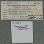 IMLS Silurian Reef Digitization Project, Image of a Silurian brachiopod label P 19567