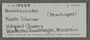 IMLS Silurian Reef Digitization Project, Image of a Silurian brachiopod label PE 18888