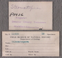IMLS Silurian Reef Digitization Project, Image of a Silurian specimen label P 11926