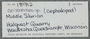 PE 18912
