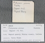 IMLS Silurian Reef Digitization Project, Image of a Silurian specimen label PE 28648
