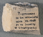 IMLS Silurian Reef Digitization Project, Image of a Silurian specimen label PE 77233