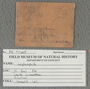 IMLS Silurian Reef Digitization Project, Image of a Silurian specimen label PE 77295
