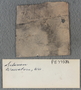 PE 77382
