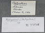PE 77508