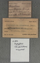 IMLS Silurian Reef Digitization Project, Image of a Silurian specimen label UC 846