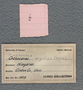 IMLS Silurian Reef Digitization Project, Image of a Silurian specimen label UC 1859