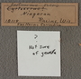IMLS Silurian Reef Digitization Project, Image of a Silurian specimen label UC 18119