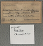 IMLS Silurian Reef Digitization Project, Image of a Silurian specimen label UC 34637