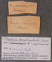 IMLS Silurian Reef Digitization Project, Image of a Silurian specimen label UC 60595