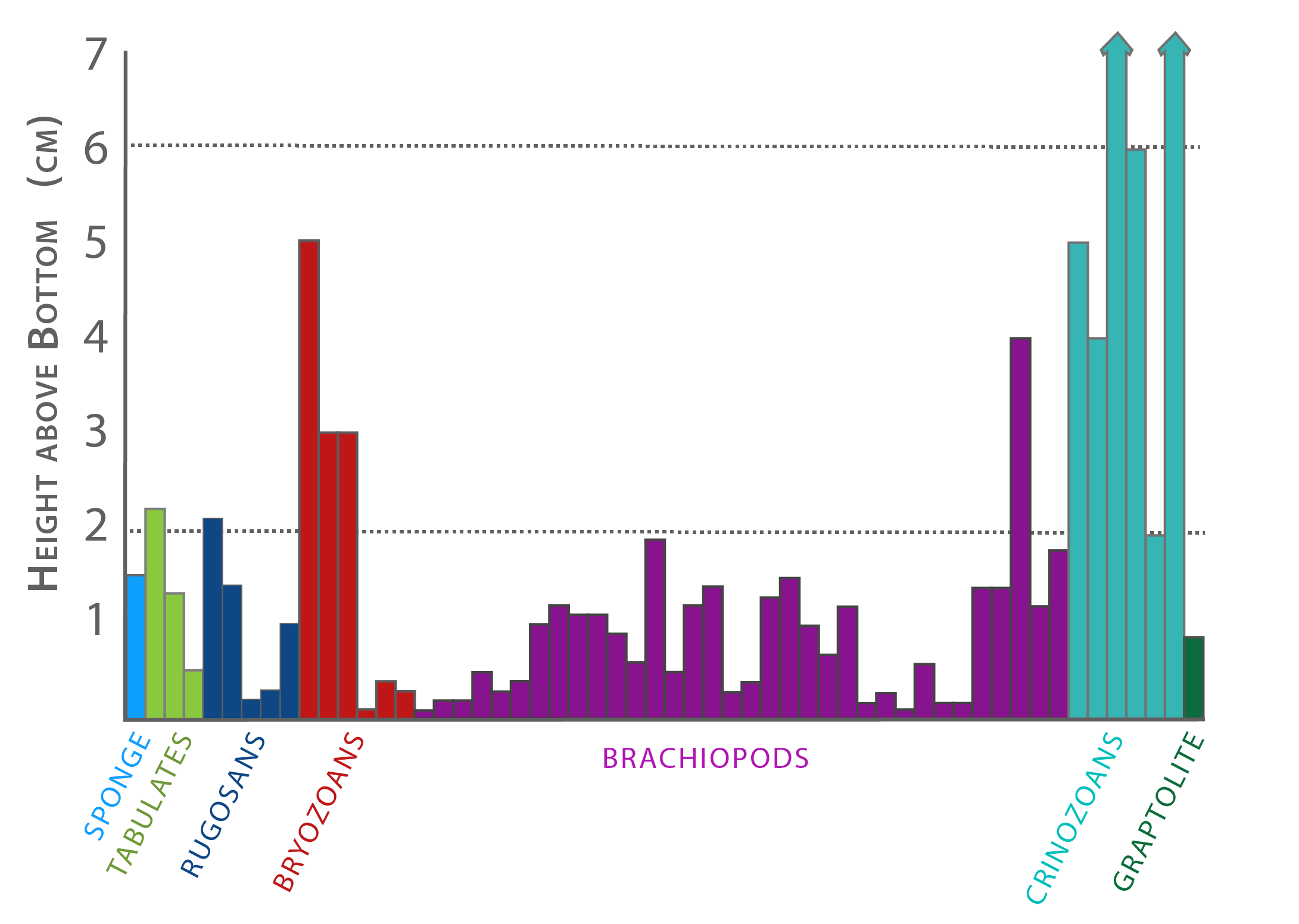 Bar chart illustrating heights of different types of Silurian reef organisms.