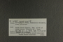 UC 61355 label