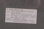 UC 65009 label