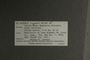 UC 65029 label