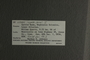 UC 65084 label