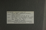 UC 65156 label