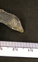FMNH 199916