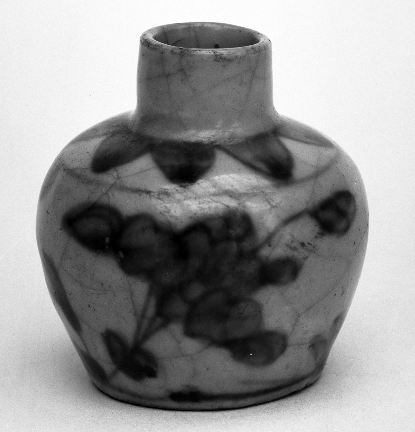 H-304 Philippine, China, Thailand specimens. Accessioned between 1941-1960s 