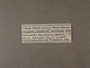 106703 Polygyra hertleini label