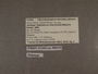 312443 Radiodiscus villarricensis label