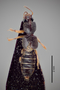 3048476 Bledius quadricornis ab javanus HT d IN