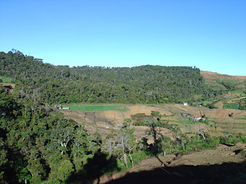 The contrast between protected watersheds and adjacent commercial farms is often quite stark. Mt. Data, ca. 2300m, Mountain Province, Luzon. (c) Field Museum of Natural History