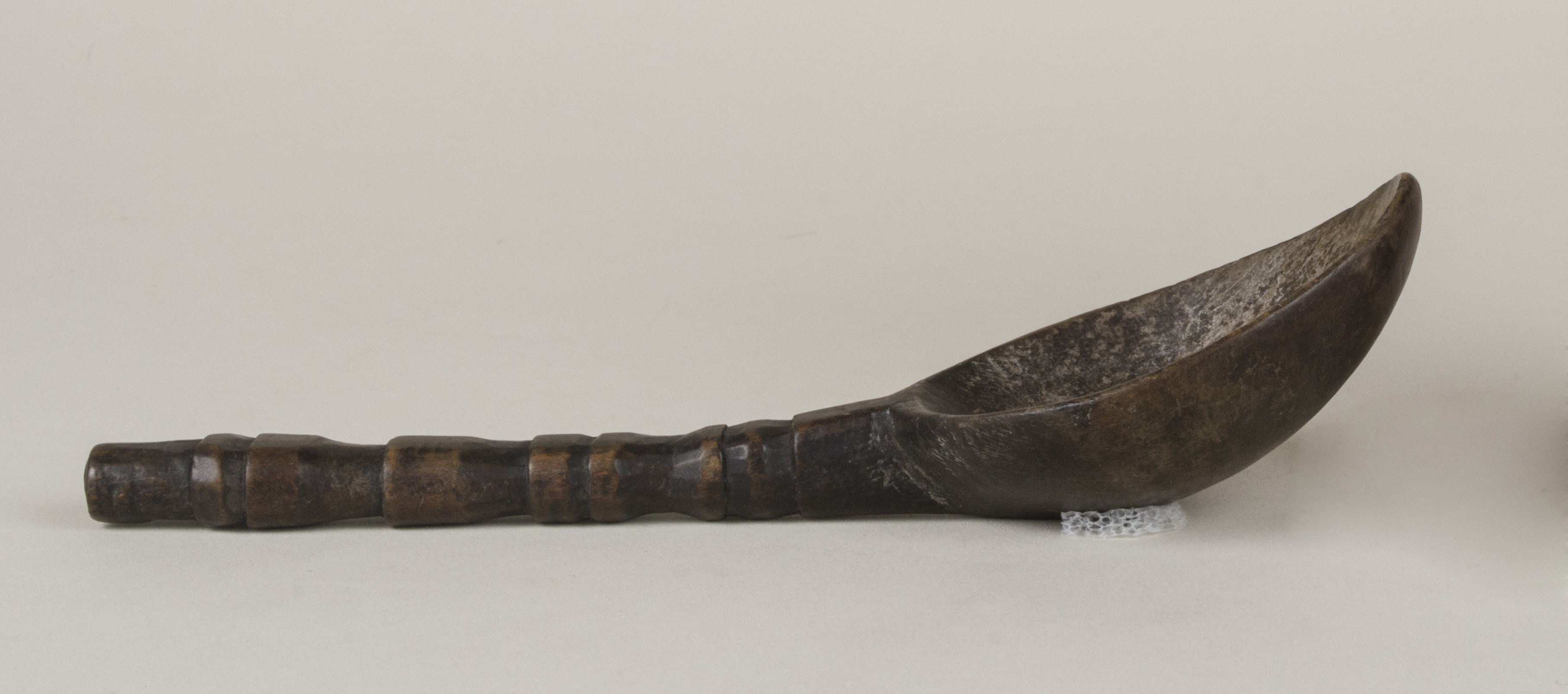 Side view without scale 