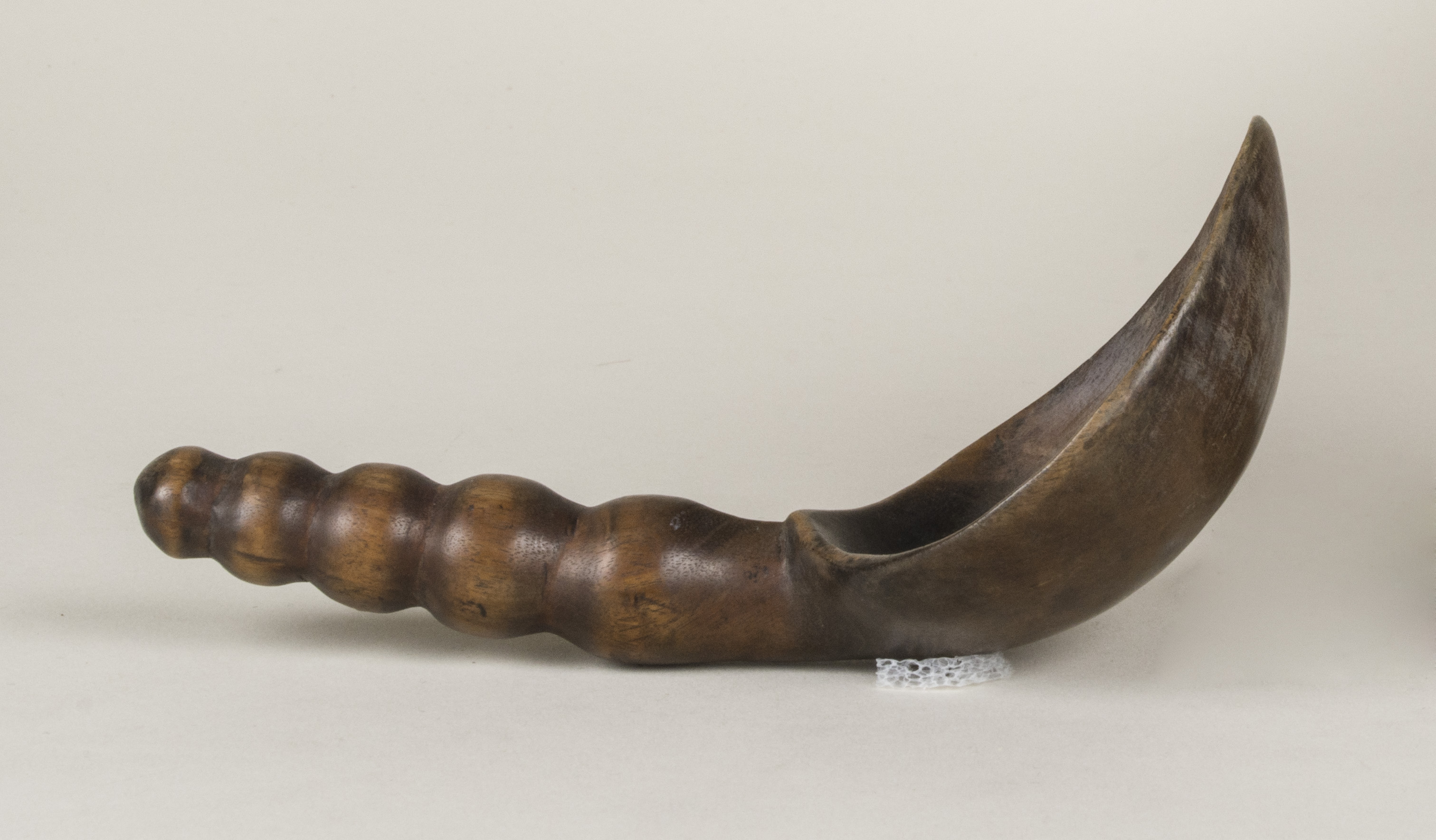 Side view without scale 