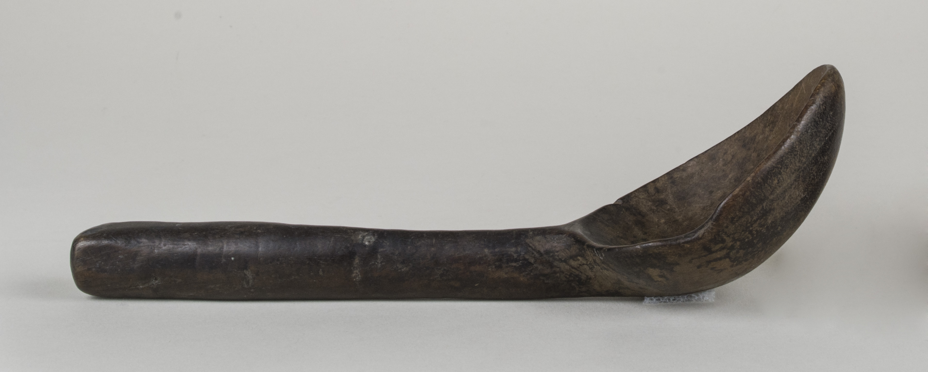 Side view without scale 