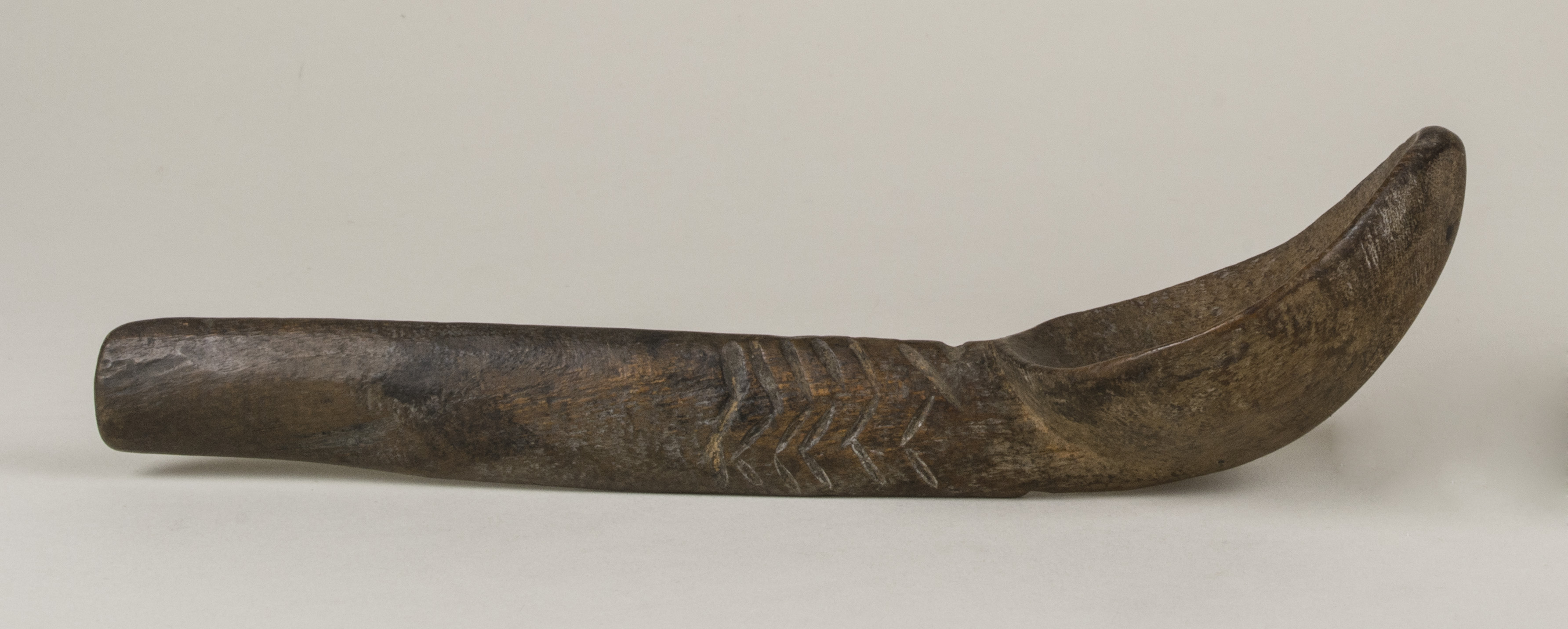 Side view without scale 