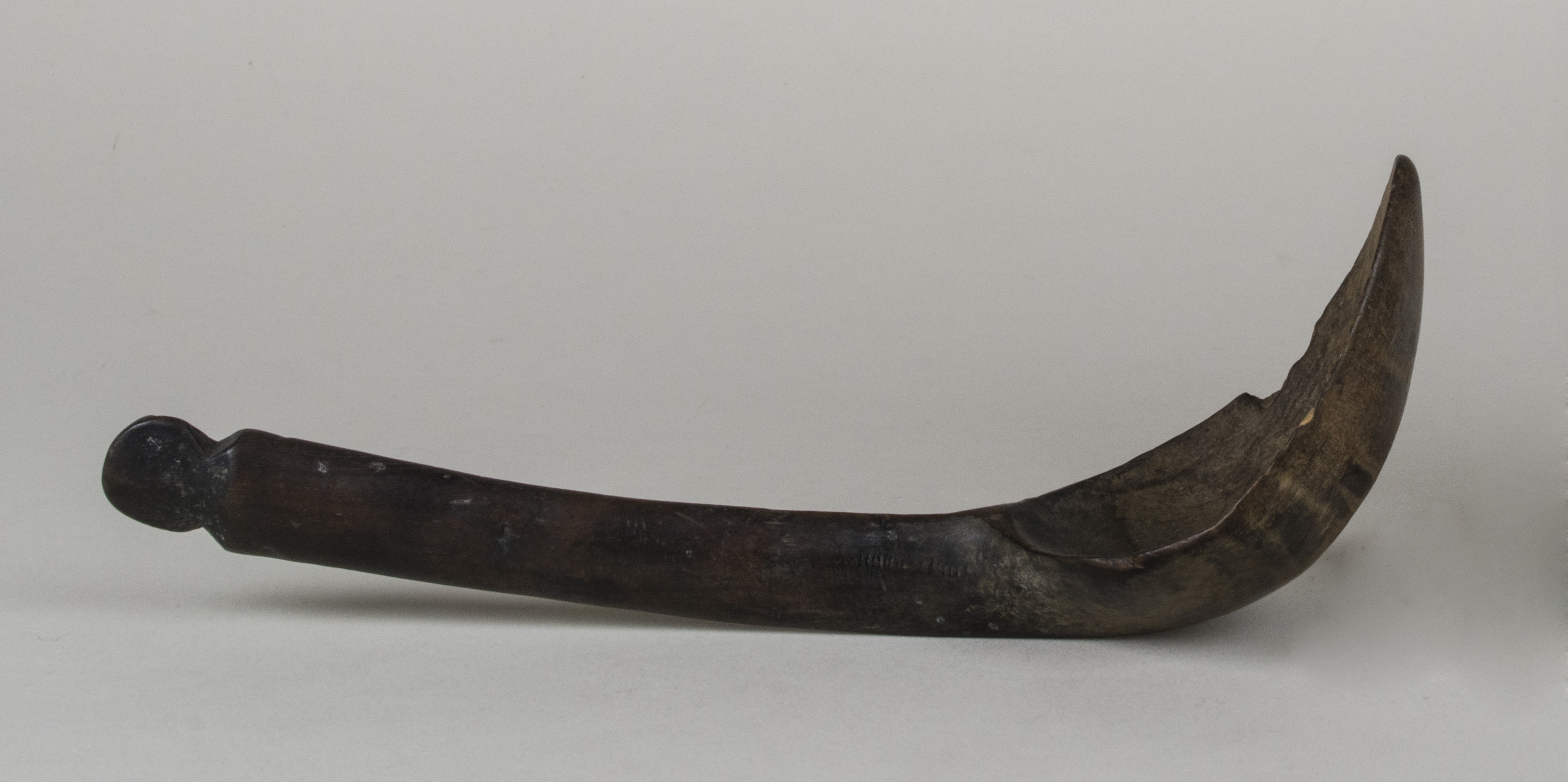 Side view without scale 