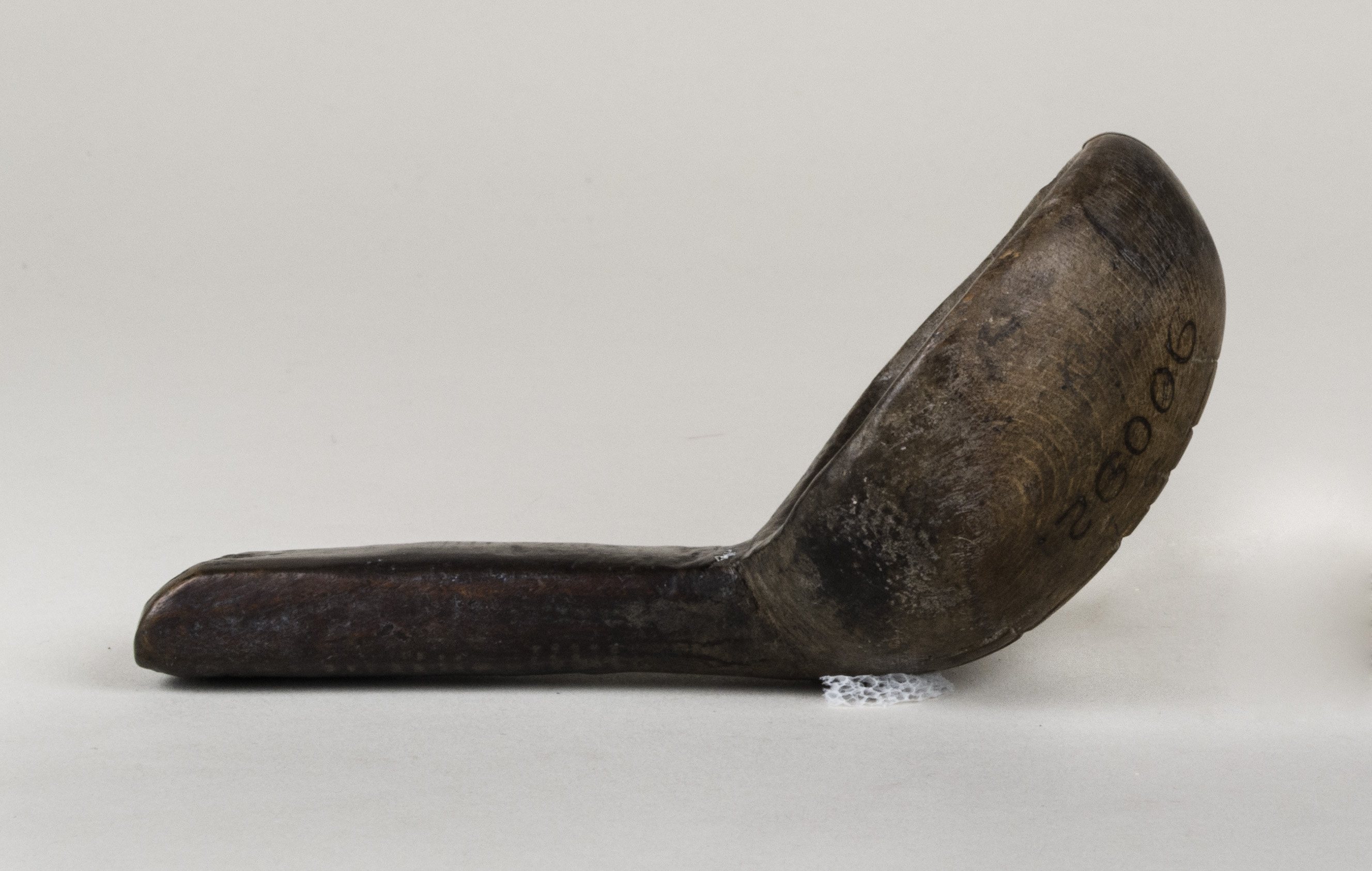 Side view without scale 