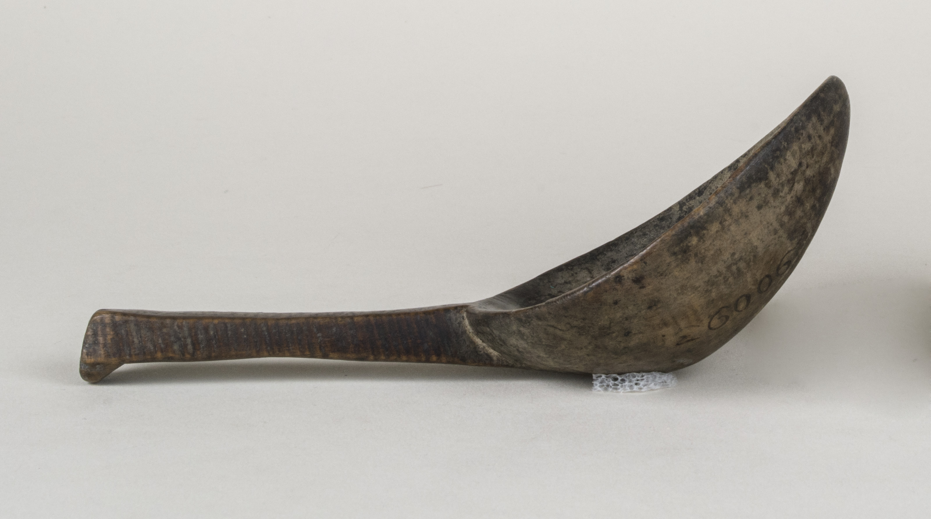 Side view without scale 