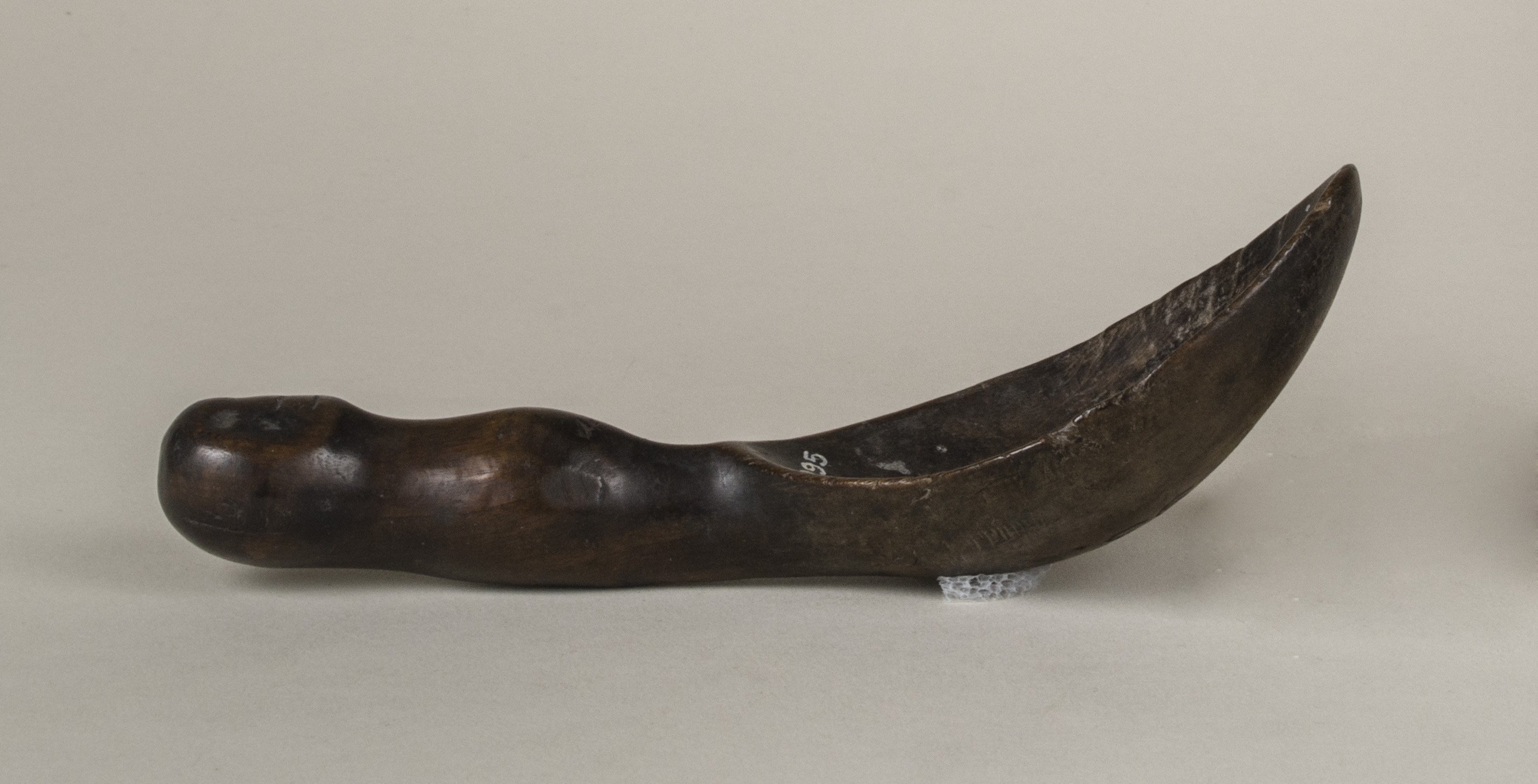 Side view without scale 