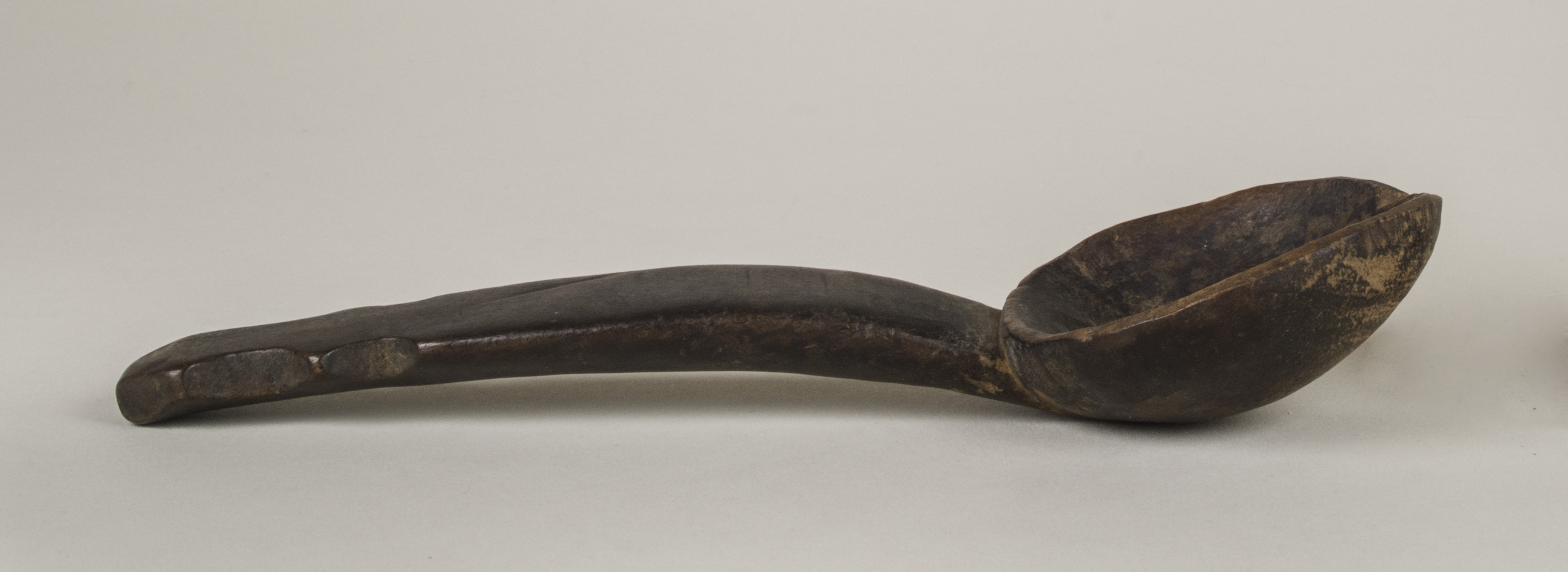 Side view without scale 