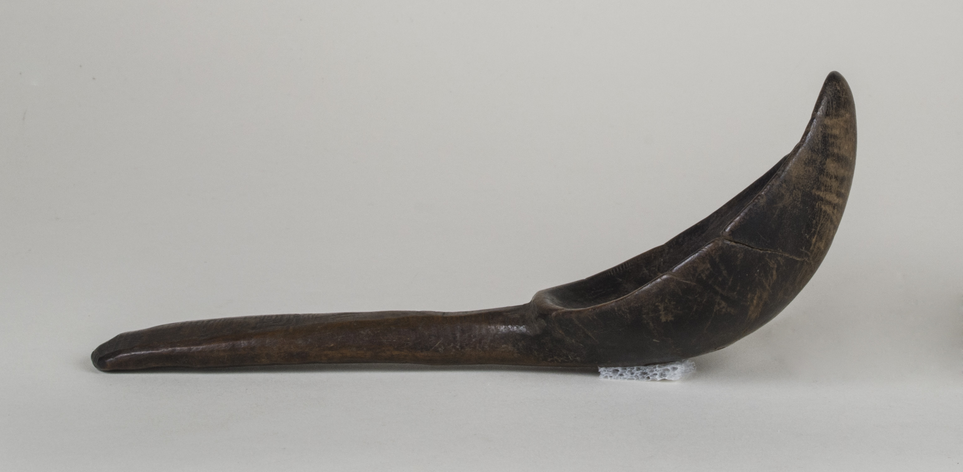 Side view without scale 