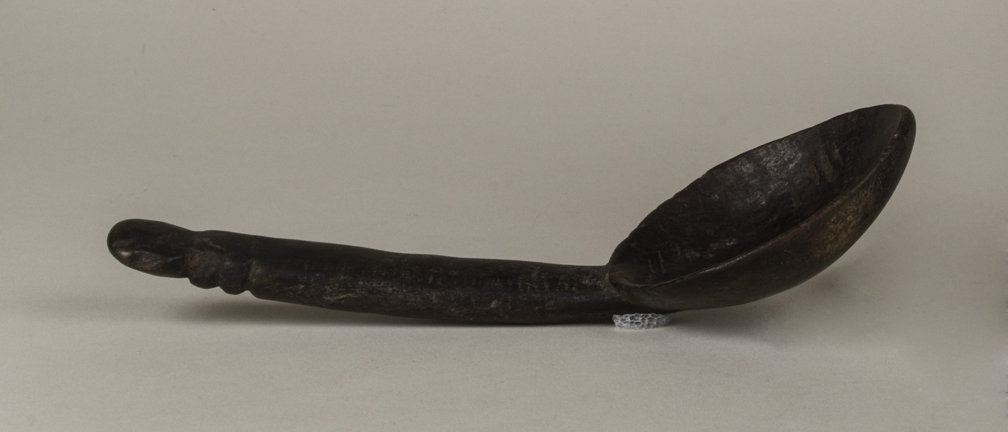 Side view without scale 