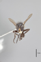 3130513 Robertsonomyia painteri PT h IN