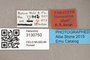 3130750 Bercaeopsis seagoi PT labels IN
