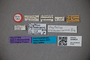 3048624 Oxytelus methnerianus HT labels IN