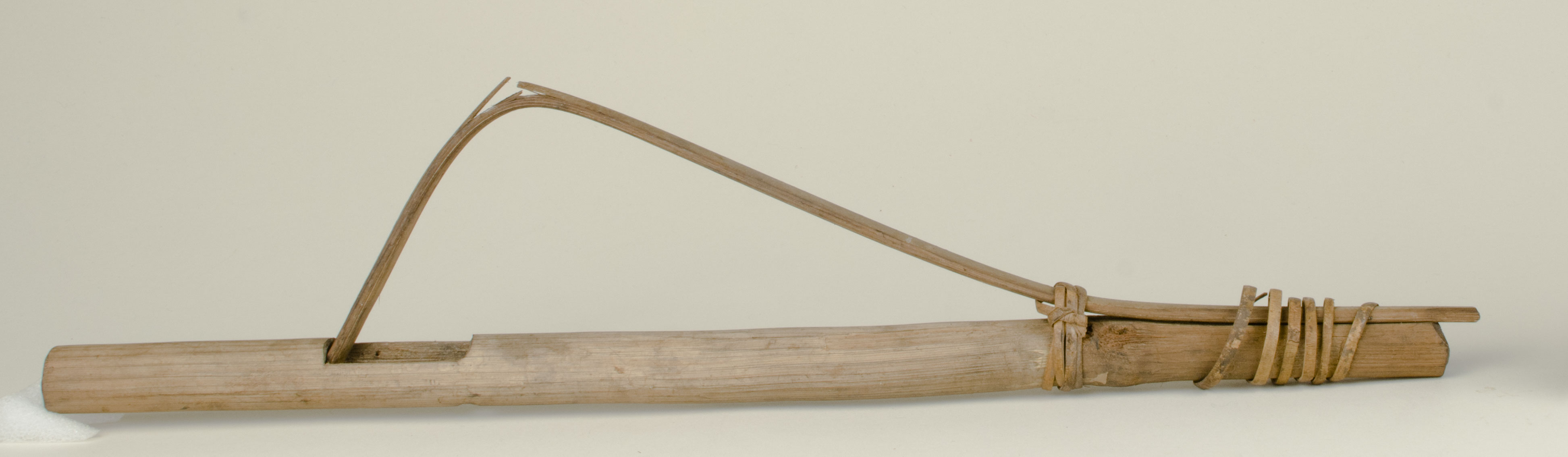 Front view without scale 