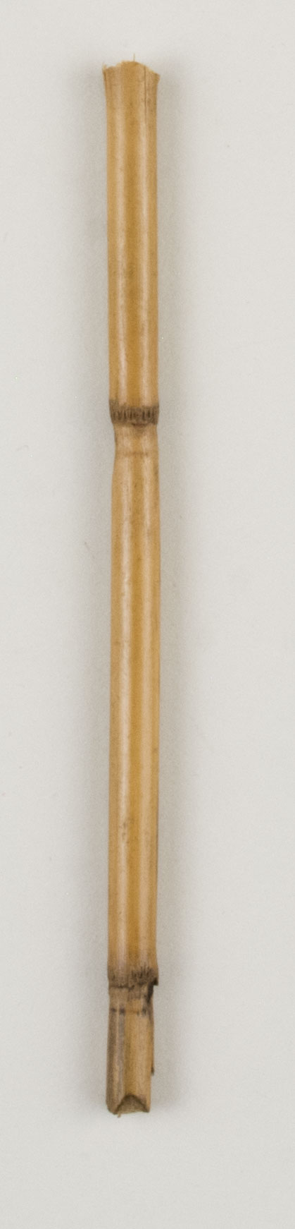 Top view without scale 