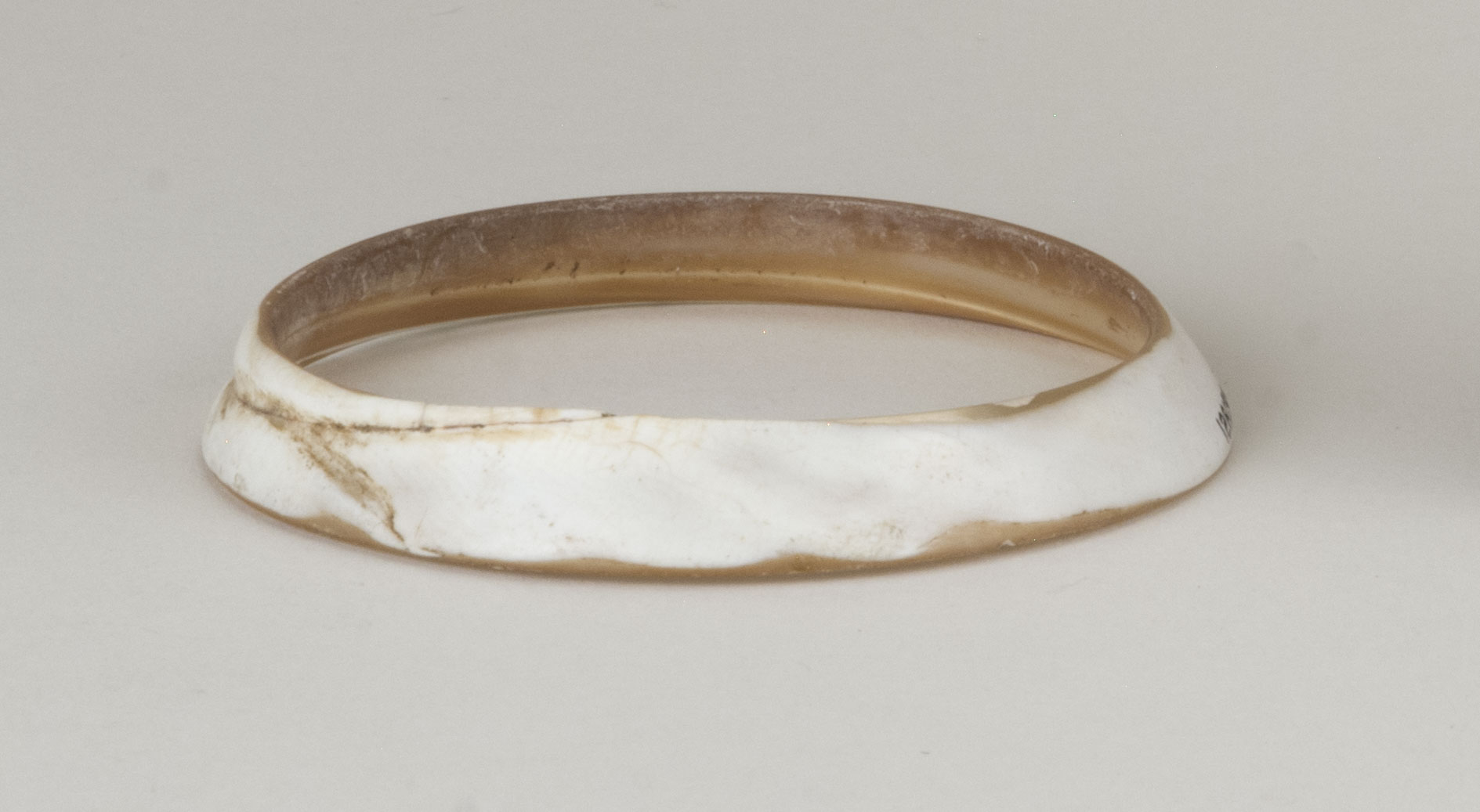 Front view without scale 