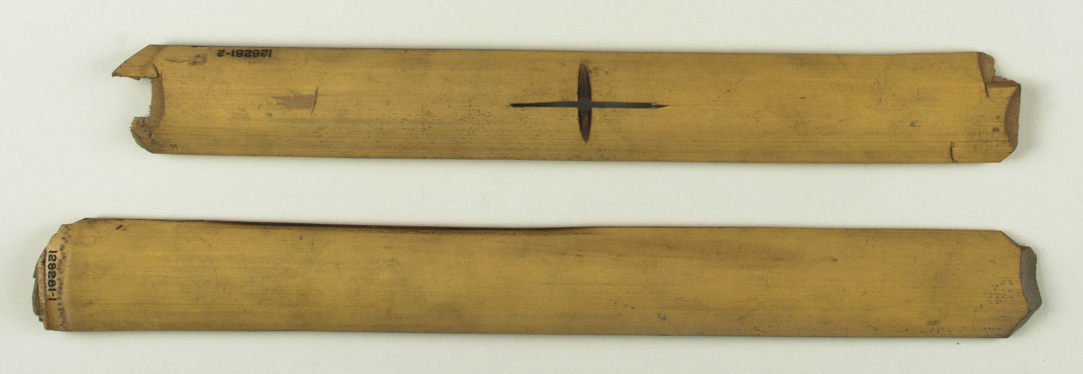 Top view without scale 